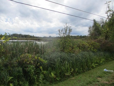 This a wetland area that has just about everything. Ducks, Geese - photo 8