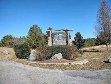 Lake Lot For Sale in Ocoee, Tennessee