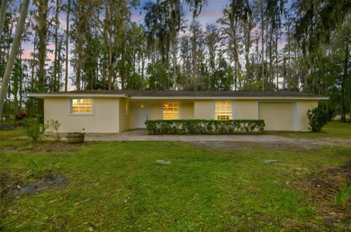 (private lake, pond, creek) Home For Sale in Land O Lakes Florida