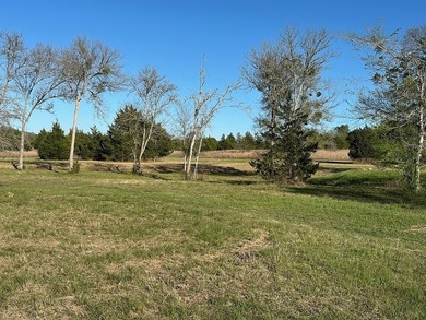 On the road to Round Top! 9 acres with excellent road frontage - photo 3