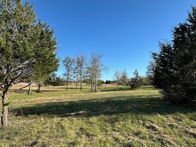 On the road to Round Top! 9 acres with excellent road frontage - photo 7