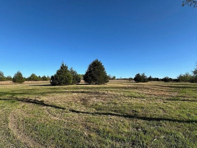 On the road to Round Top! 9 acres with excellent road frontage - photo 9