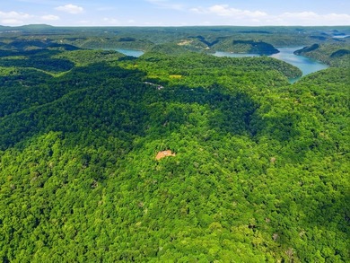 Rarely do you find a property that offers nearly 29 acres - photo 11