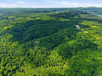 Rarely do you find a property that offers nearly 29 acres - photo 13