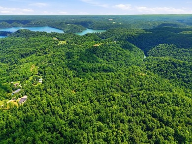 Rarely do you find a property that offers nearly 29 acres - photo 18