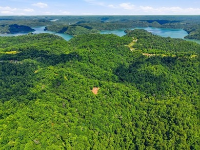 Rarely do you find a property that offers nearly 29 acres - photo 19
