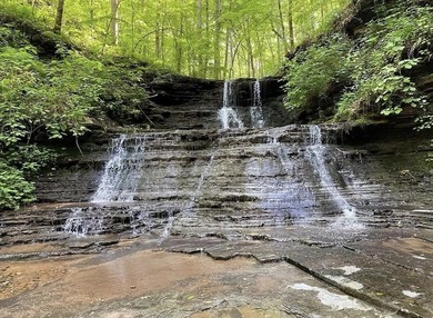 Rarely do you find a property that offers nearly 29 acres - photo 20
