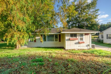 Lake Home For Sale in Croton, Michigan