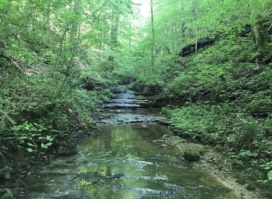 Rarely do you find a property that offers nearly 29 acres - photo 21
