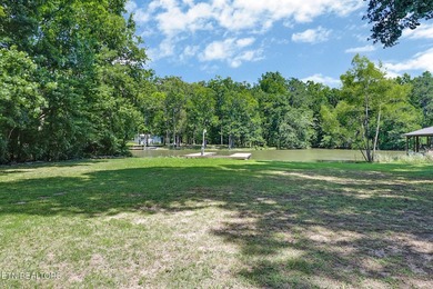 Welcome to your own waterfront retreat on the Tennessee River! - photo 41