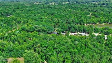 Welcome to your own waterfront retreat on the Tennessee River! - photo 48