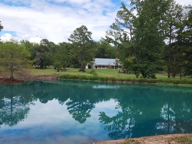 (private lake, pond, coastal) Acreage For Sale in Palestine Texas