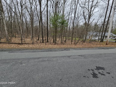 Tink Wig Lake Lot For Sale in Hawley Pennsylvania