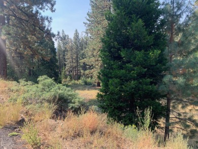 Lake Davis Lot For Sale in Portola California