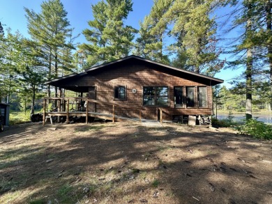 Lake Home For Sale in Newberry, Michigan