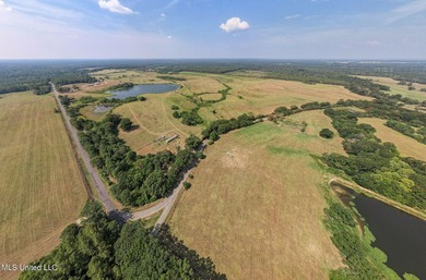 Welcome to an extraordinary real estate opportunity that - photo 4