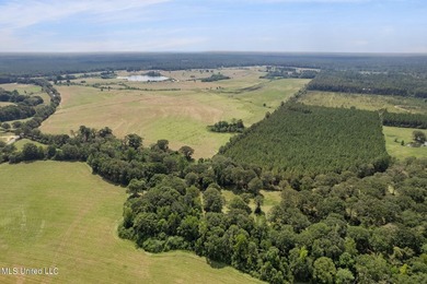 Welcome to an extraordinary real estate opportunity that - photo 6
