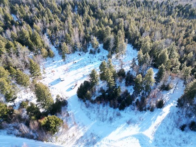 Little Eskutassis Pond Acreage For Sale in Burlington Maine