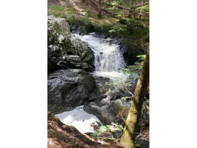 (private lake, pond, creek) Acreage For Sale in Farmington Maine