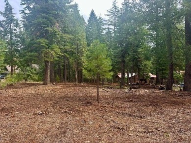 Lake Lot For Sale in Lake Almanor, California