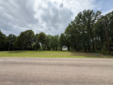 Peaceful .65 Acre Homesite with Boat Ramp Access in April Cove - photo 4