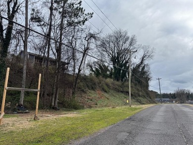 Chickamauga Lake Commercial For Sale in Dayton Tennessee