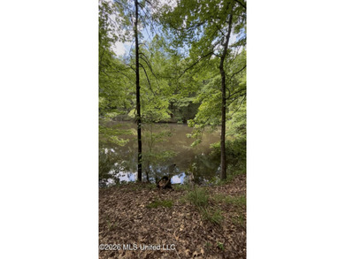 EASY OWNER FINANCING AVAILABLE! A beautiful piece of property - photo 1
