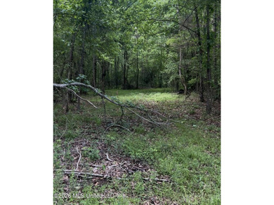 EASY OWNER FINANCING AVAILABLE! A beautiful piece of property - photo 2