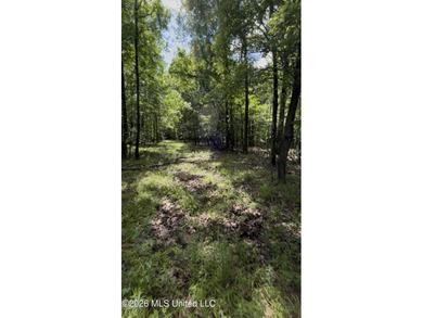 EASY OWNER FINANCING AVAILABLE! A beautiful piece of property - photo 3