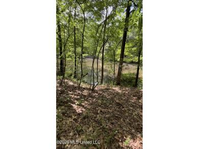 EASY OWNER FINANCING AVAILABLE! A beautiful piece of property - photo 4