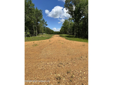 EASY OWNER FINANCING AVAILABLE! A beautiful piece of property - photo 5