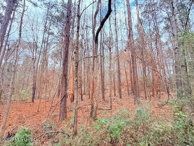 42 Acres of wooded creek front property located on Busy Corner - photo 11