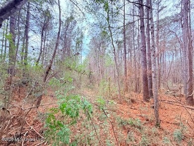 42 Acres of wooded creek front property located on Busy Corner - photo 12
