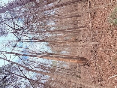 42 Acres of wooded creek front property located on Busy Corner - photo 14