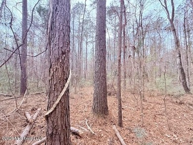 42 Acres of wooded creek front property located on Busy Corner - photo 15