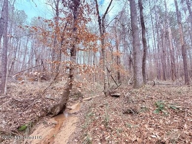42 Acres of wooded creek front property located on Busy Corner - photo 16