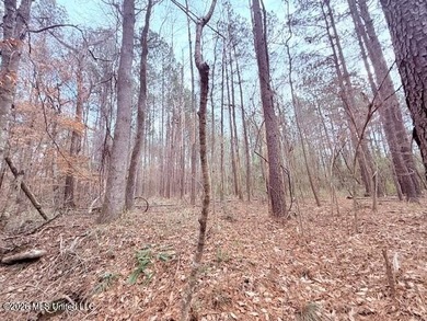 42 Acres of wooded creek front property located on Busy Corner - photo 17