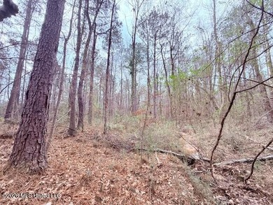 42 Acres of wooded creek front property located on Busy Corner - photo 18