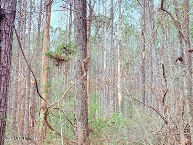 42 Acres of wooded creek front property located on Busy Corner - photo 20