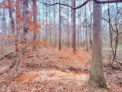 42 Acres of wooded creek front property located on Busy Corner - photo 22
