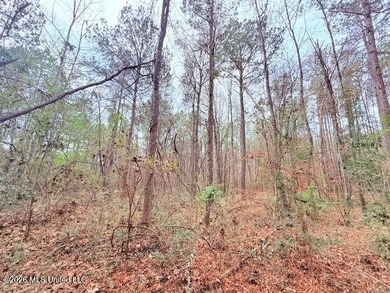 42 Acres of wooded creek front property located on Busy Corner - photo 23