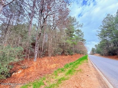 42 Acres of wooded creek front property located on Busy Corner - photo 24