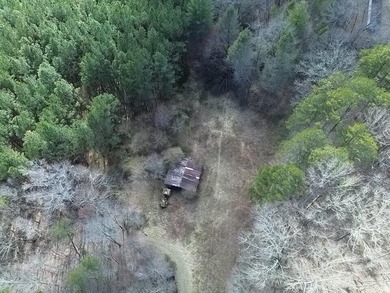 (private lake, pond, creek) Acreage For Sale in Turtletown Tennessee