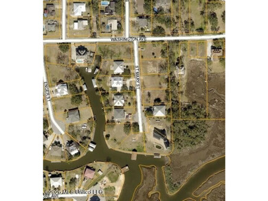 Great residential single-family building lot in South Pascagoula - photo 3
