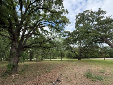 Peaceful .65 Acre Homesite with Boat Ramp Access in April Cove - photo 6
