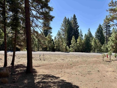 Lake Almanor Lot For Sale in Lake Almanor West California