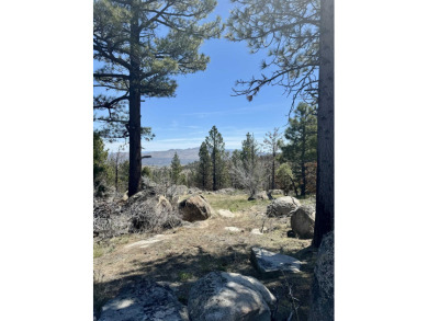 Lake Acreage For Sale in Doyle, California