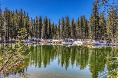 Lake Lot For Sale in Soda Springs, California