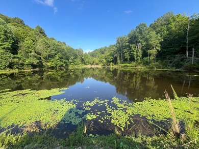 Lake Acreage For Sale in Columbia, Kentucky