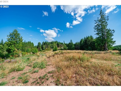 Silver Lake - Cowlitz County Acreage For Sale in Castle Rock Washington